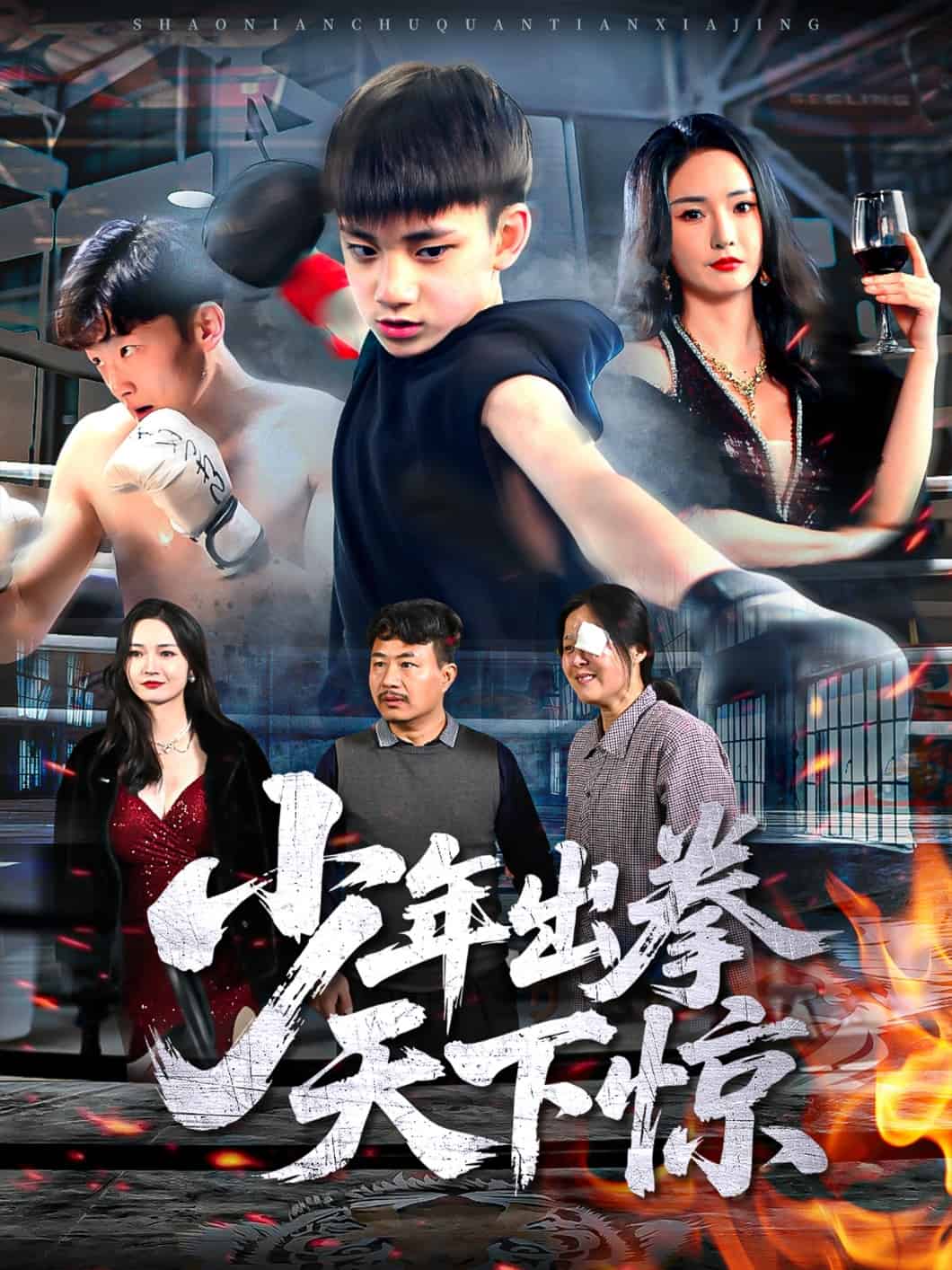 少年出拳天下惊(全集)